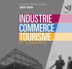 Plan stratégique 2017-2019